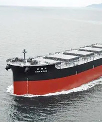 2015年國(guó)內(nèi)沿海貨運(yùn)船舶運(yùn)力分析